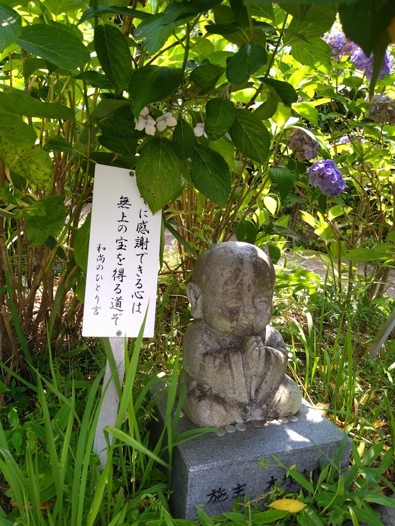 f:id:panda-mzlbk:20230727162154j:image f:id:panda-mzlbk:20230727162154j:image