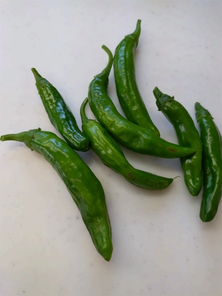 f:id:panda-mzlbk:20230817201924j:image f:id:panda-mzlbk:20230817201924j:image