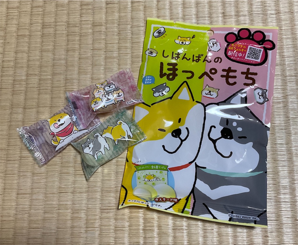 f:id:panda-mzlbk:20240106230549j:image