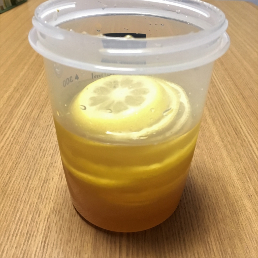 収穫したレモンをはちみつ漬けにして3日後 室内で鉢植えレモン アレンユーレカレモン 栽培 徒然日記 ベランダ菜園や日常のあれこれ 収穫したレモンをはちみつ漬けにして3日後 室内で鉢植えレモン アレンユーレカレモン 栽培 徒然日記 ベランダ菜園や日常のあれこれ