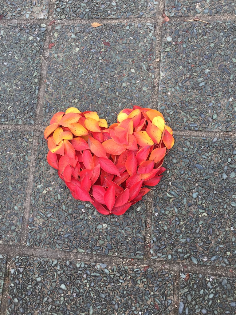 f:id:panda531531:20161125085930j:image f:id:panda531531:20161125085930j:image