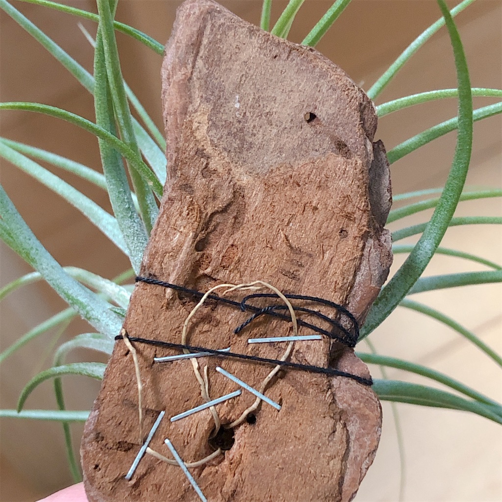 f:id:panda_blue:20200511191058j:image