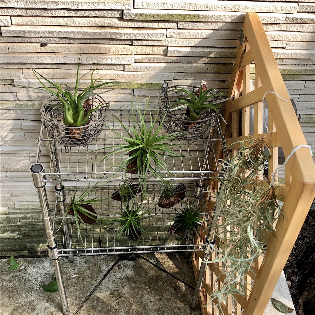 f:id:panda_blue:20200621221618j:image f:id:panda_blue:20200621221618j:image