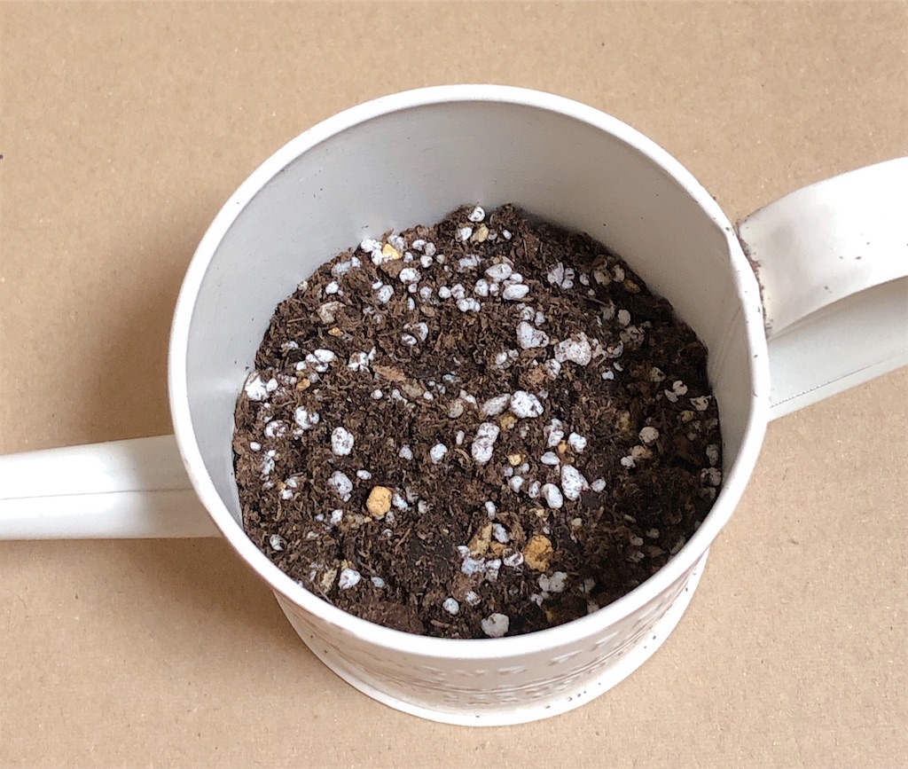 f:id:panda_blue:20200709121428j:image