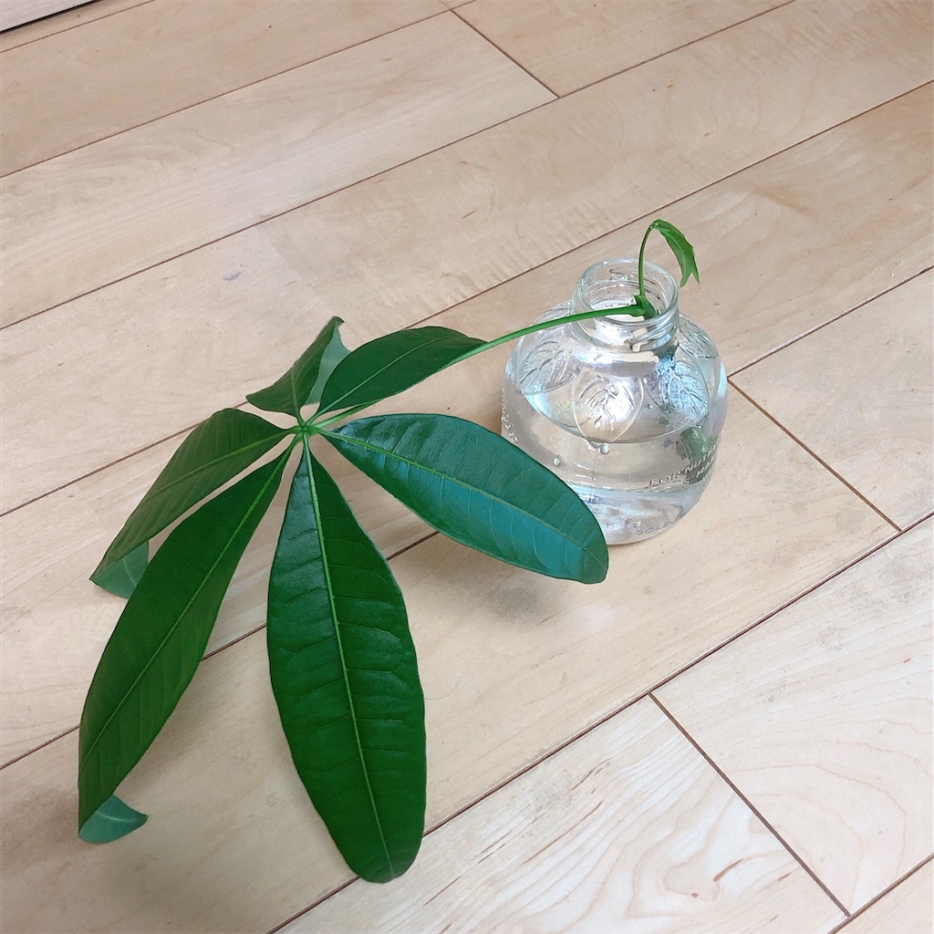 f:id:panda_blue:20200712154627j:image