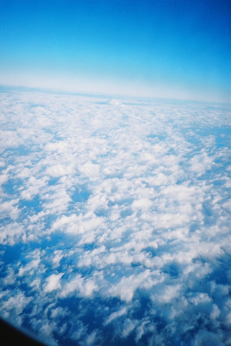 f:id:pandago:20201023144329j:plain f:id:pandago:20201023144329j:plain