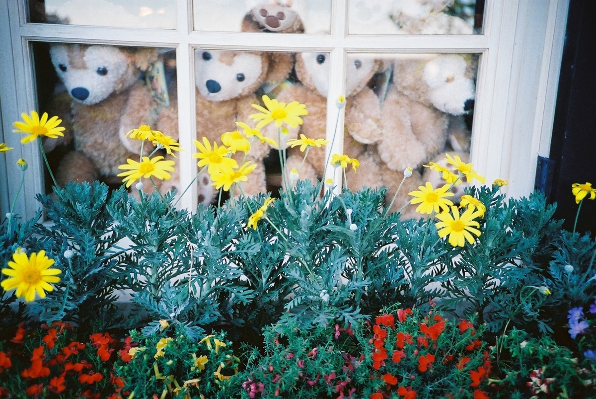 f:id:pandago:20201023145507j:plain f:id:pandago:20201023145507j:plain