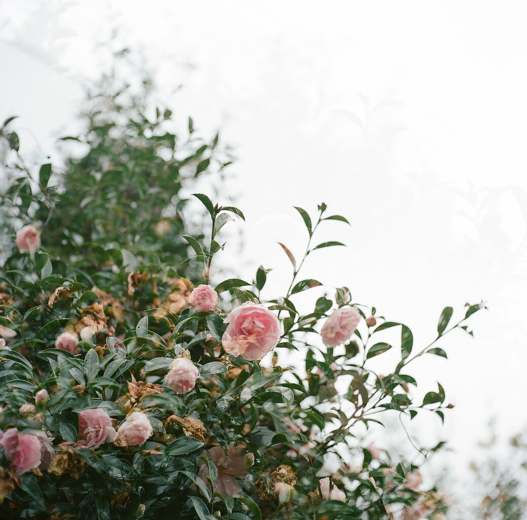 f:id:pandago:20201105113200j:plain