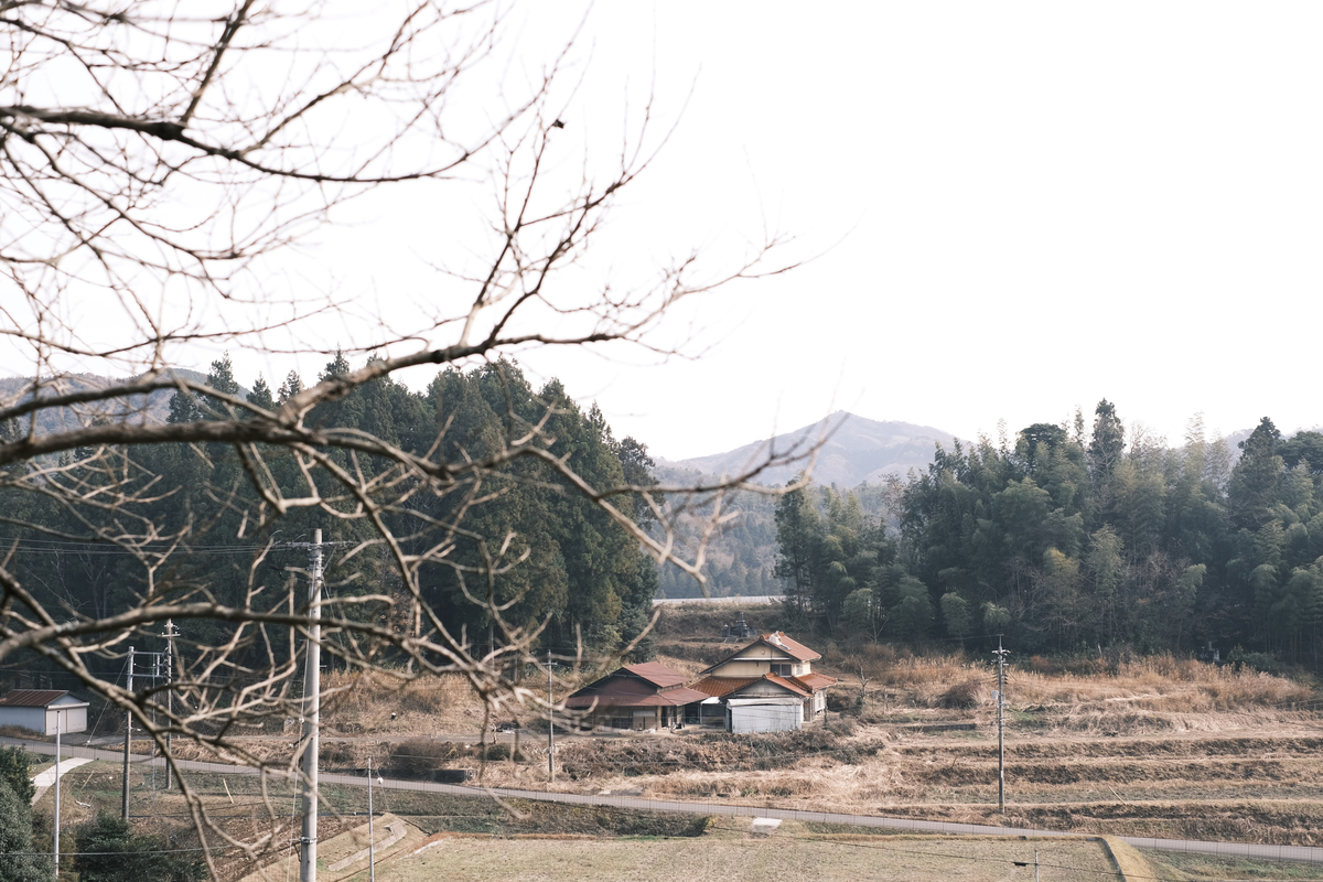 f:id:pandago:20210105160208j:plain