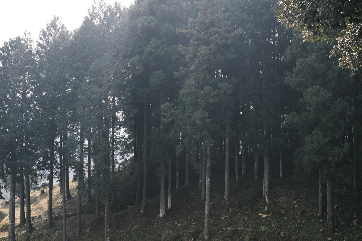 f:id:pandago:20210105160752j:plain