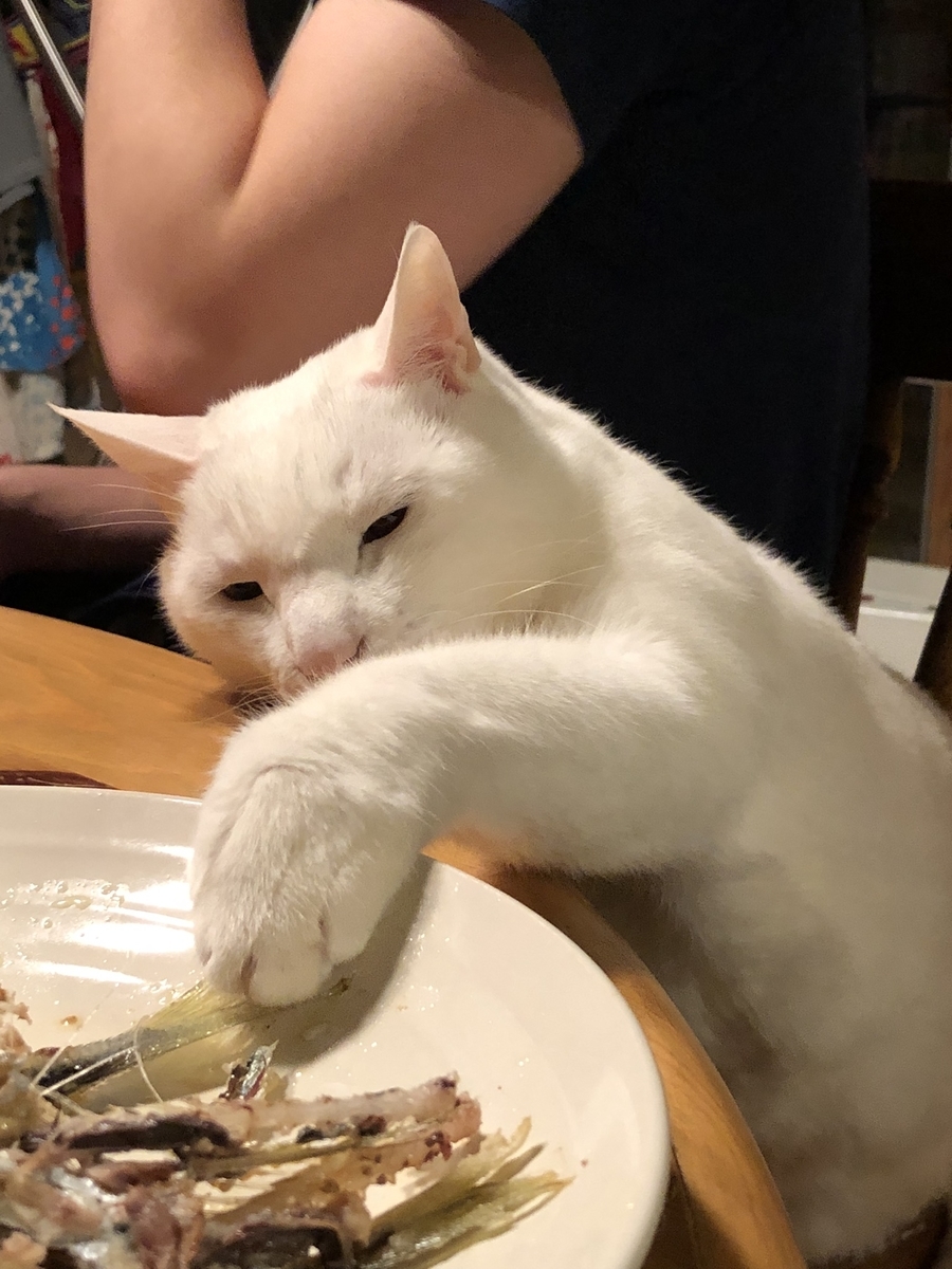 f:id:pandago:20211222091332j:plain