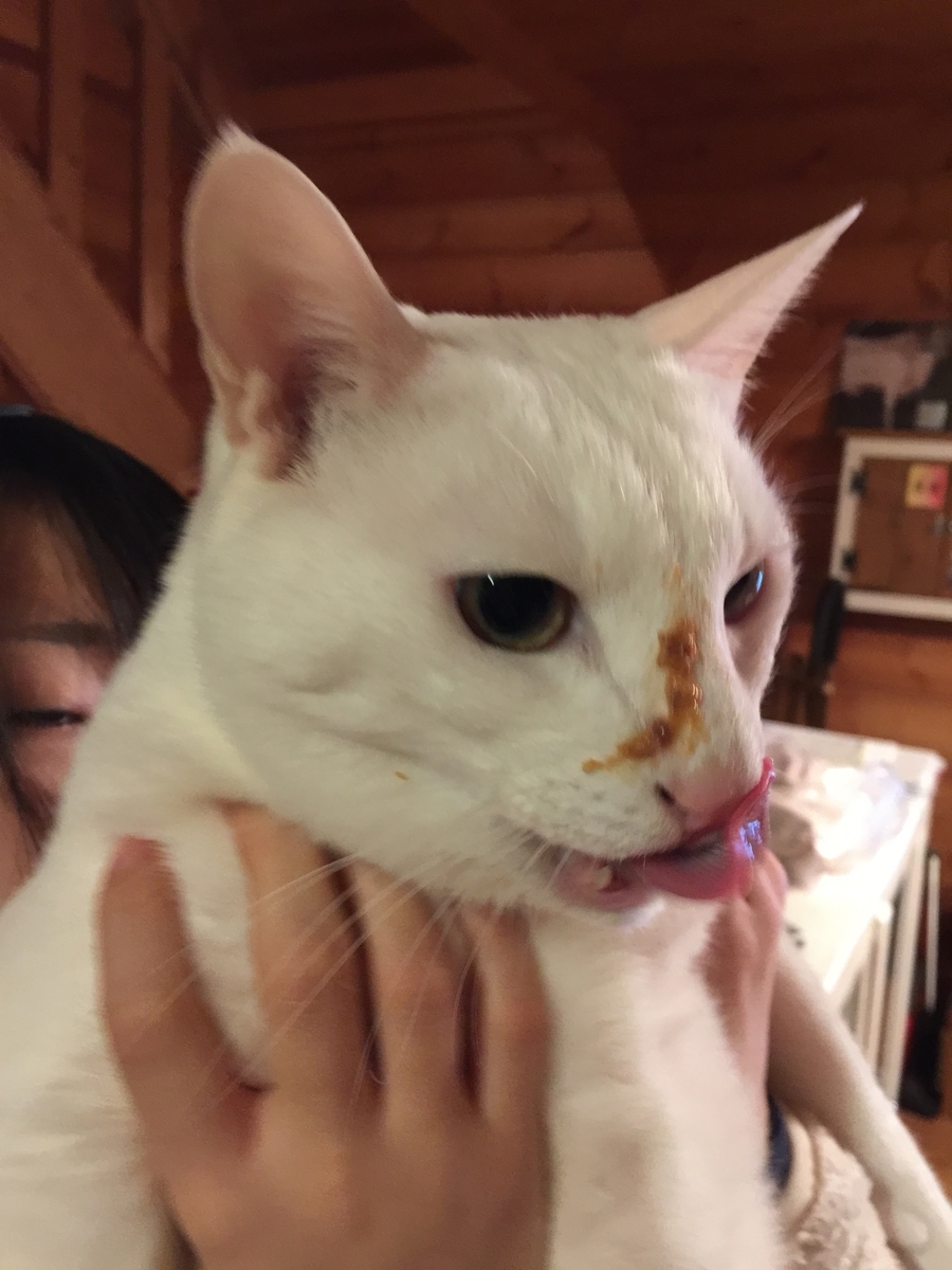 f:id:pandago:20211222091413j:plain