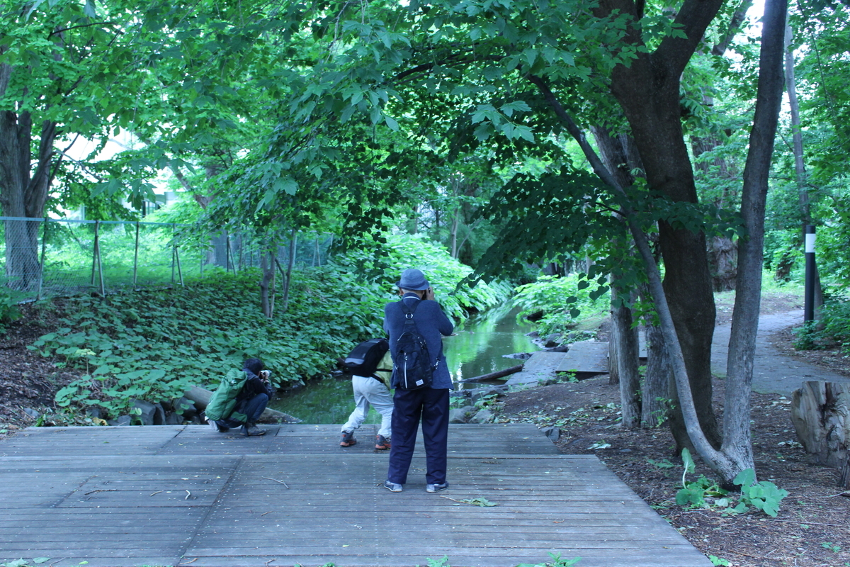 f:id:pandakamo:20190621132201j:plain f:id:pandakamo:20190621132201j:plain