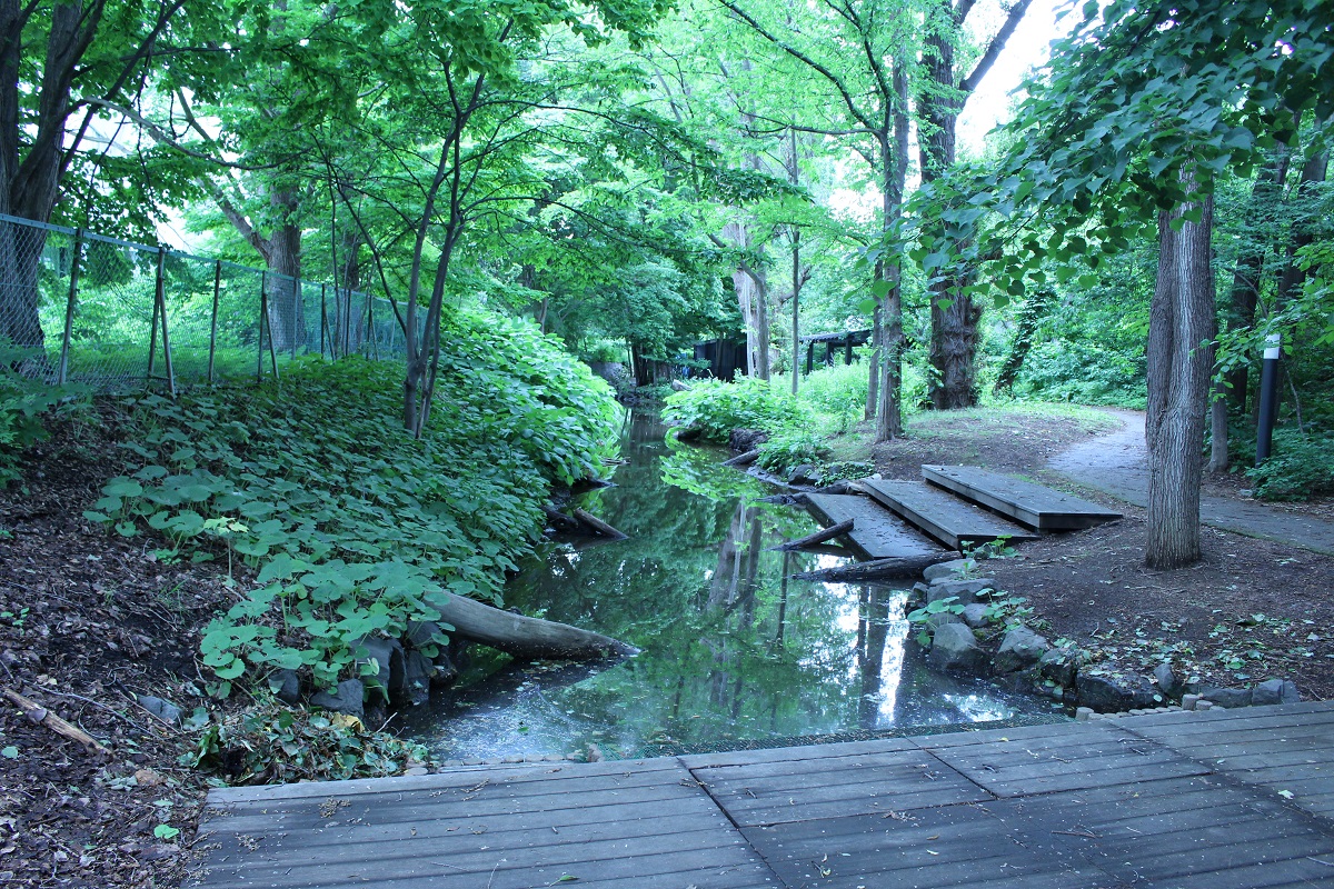 f:id:pandakamo:20190621205615j:plain f:id:pandakamo:20190621205615j:plain