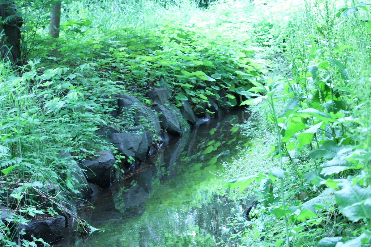 f:id:pandakamo:20190621212333j:plain f:id:pandakamo:20190621212333j:plain