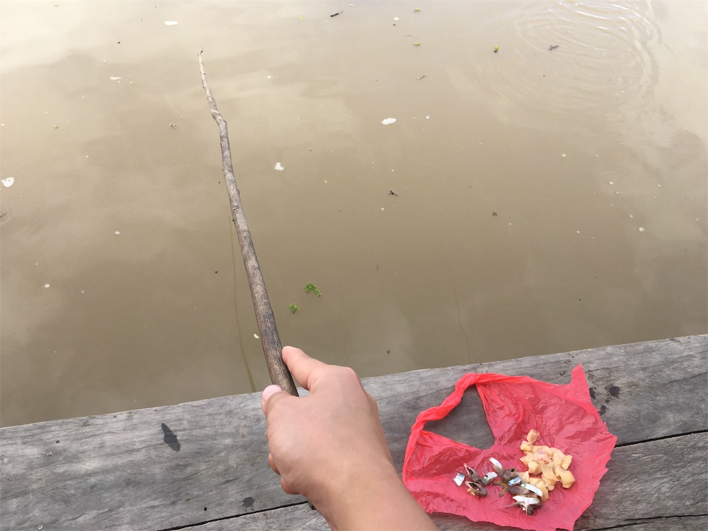 f:id:pandakopanda728:20190208225606j:image