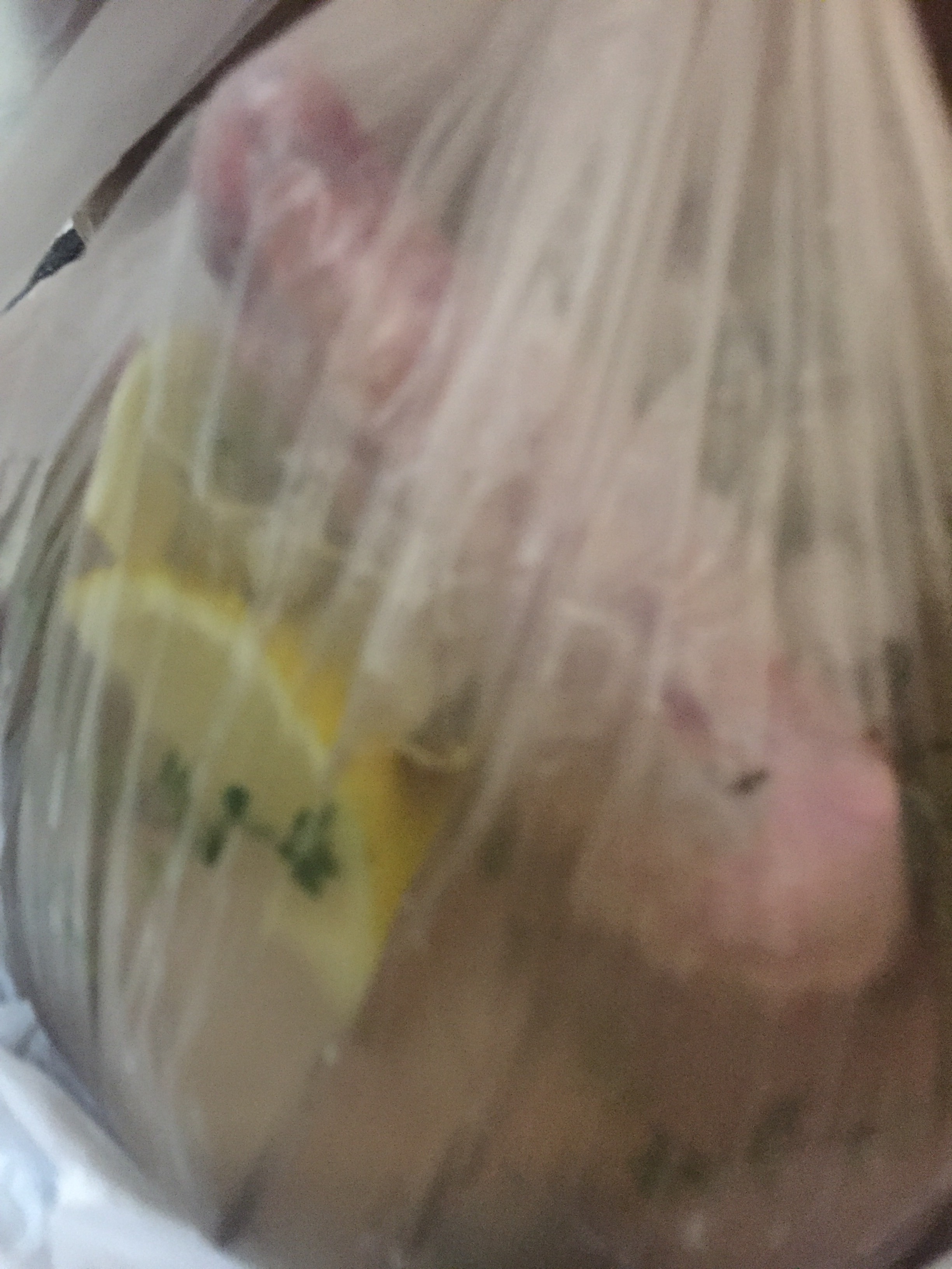 f:id:pandamama-ikuji:20191224234919j:image