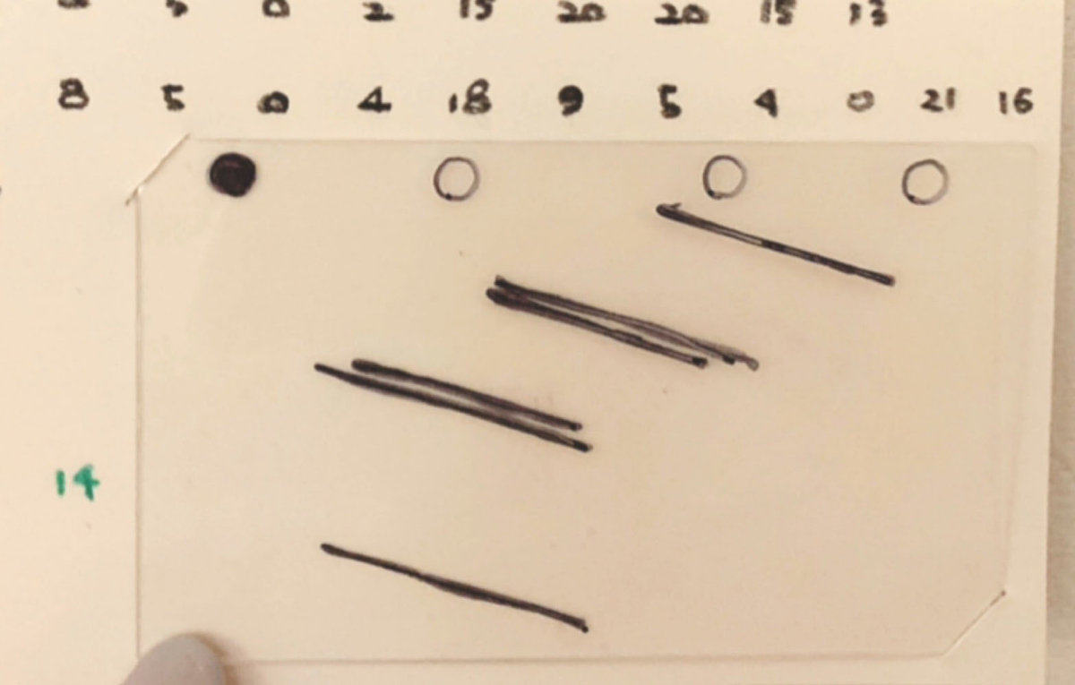 f:id:pandamama-ikuji:20200622065540j:plain f:id:pandamama-ikuji:20200622065540j:plain