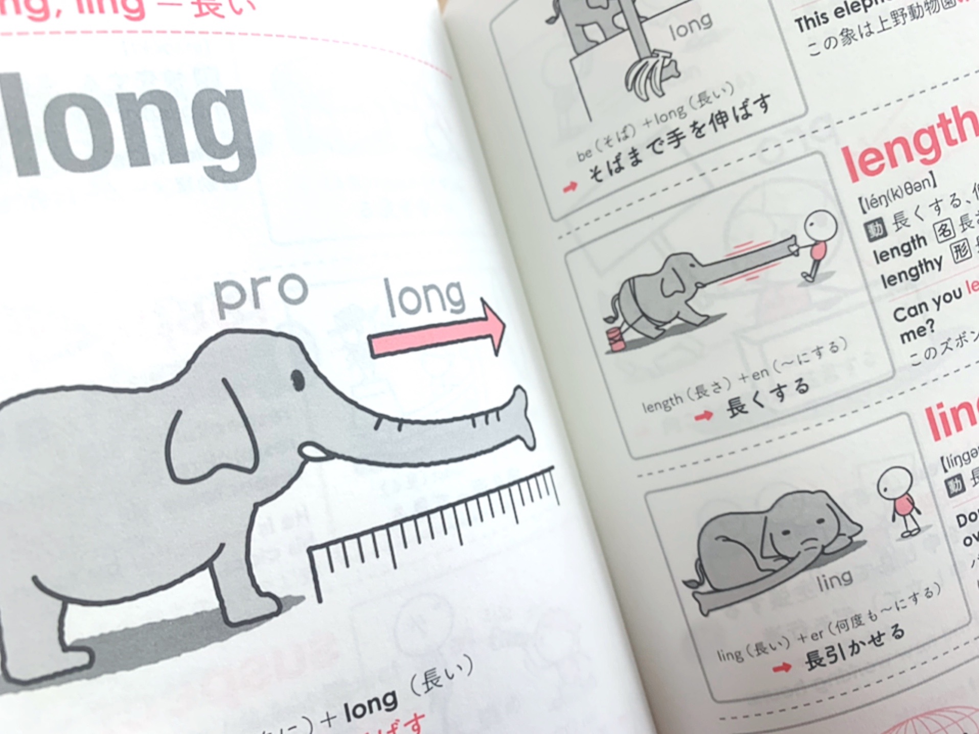 長男 小5 英単語の語源図鑑 が大活躍しています まったり英語育児雑記帳
