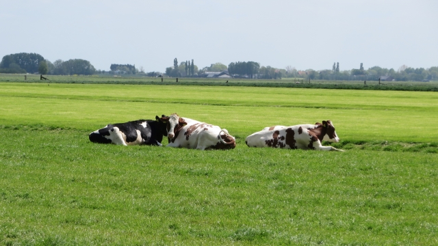 f:id:pandamama-ikuji:20210104104132j:plain