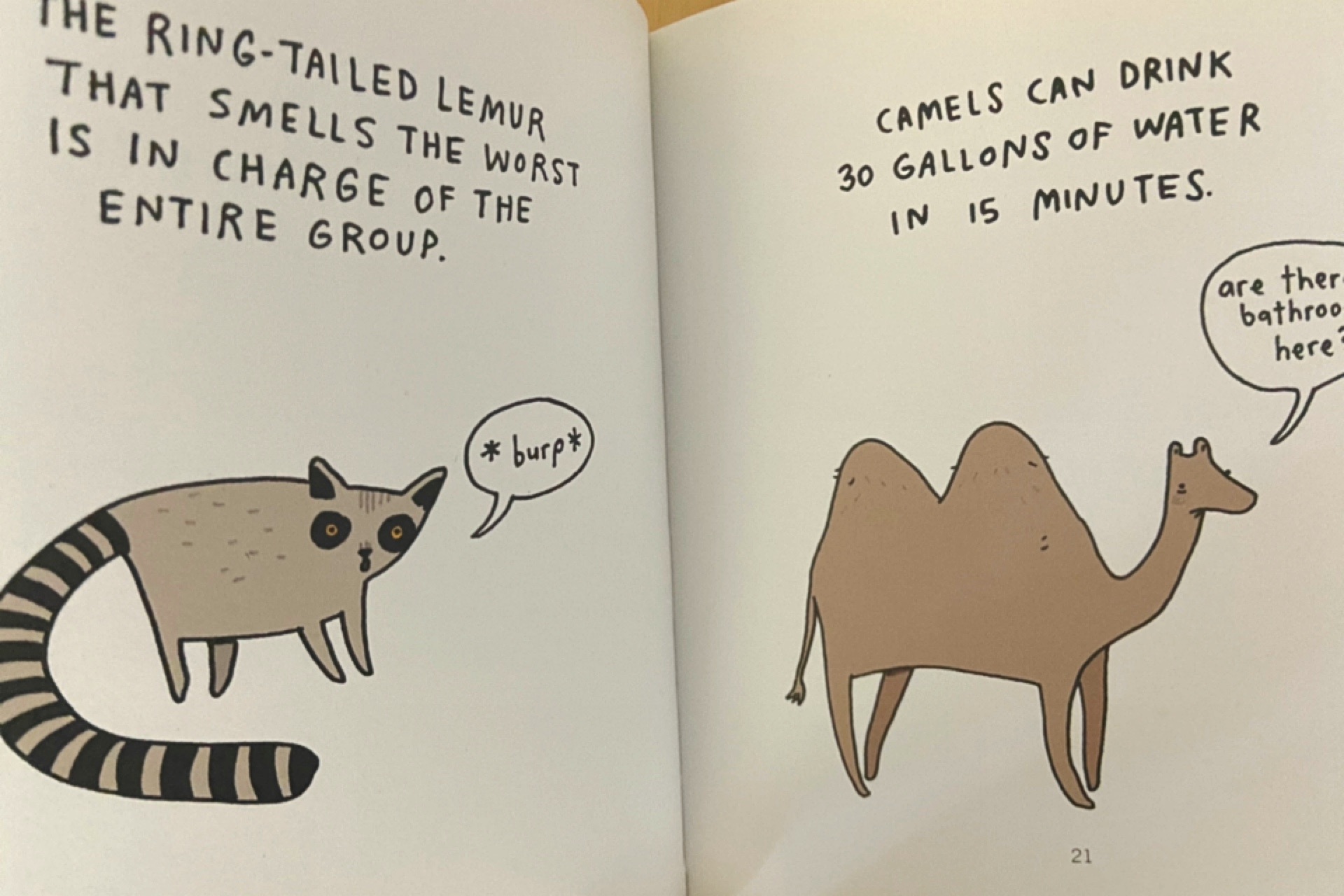 f:id:pandamama-ikuji:20211216163131j:image f:id:pandamama-ikuji:20211216163131j:image