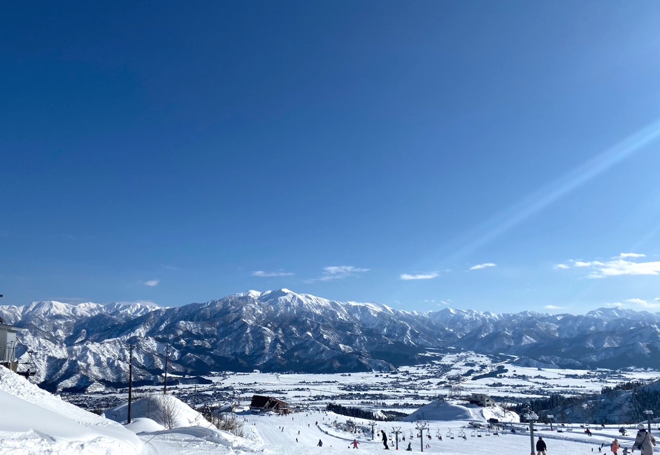 f:id:pandamama-ikuji:20230125081611j:image f:id:pandamama-ikuji:20230125081611j:image