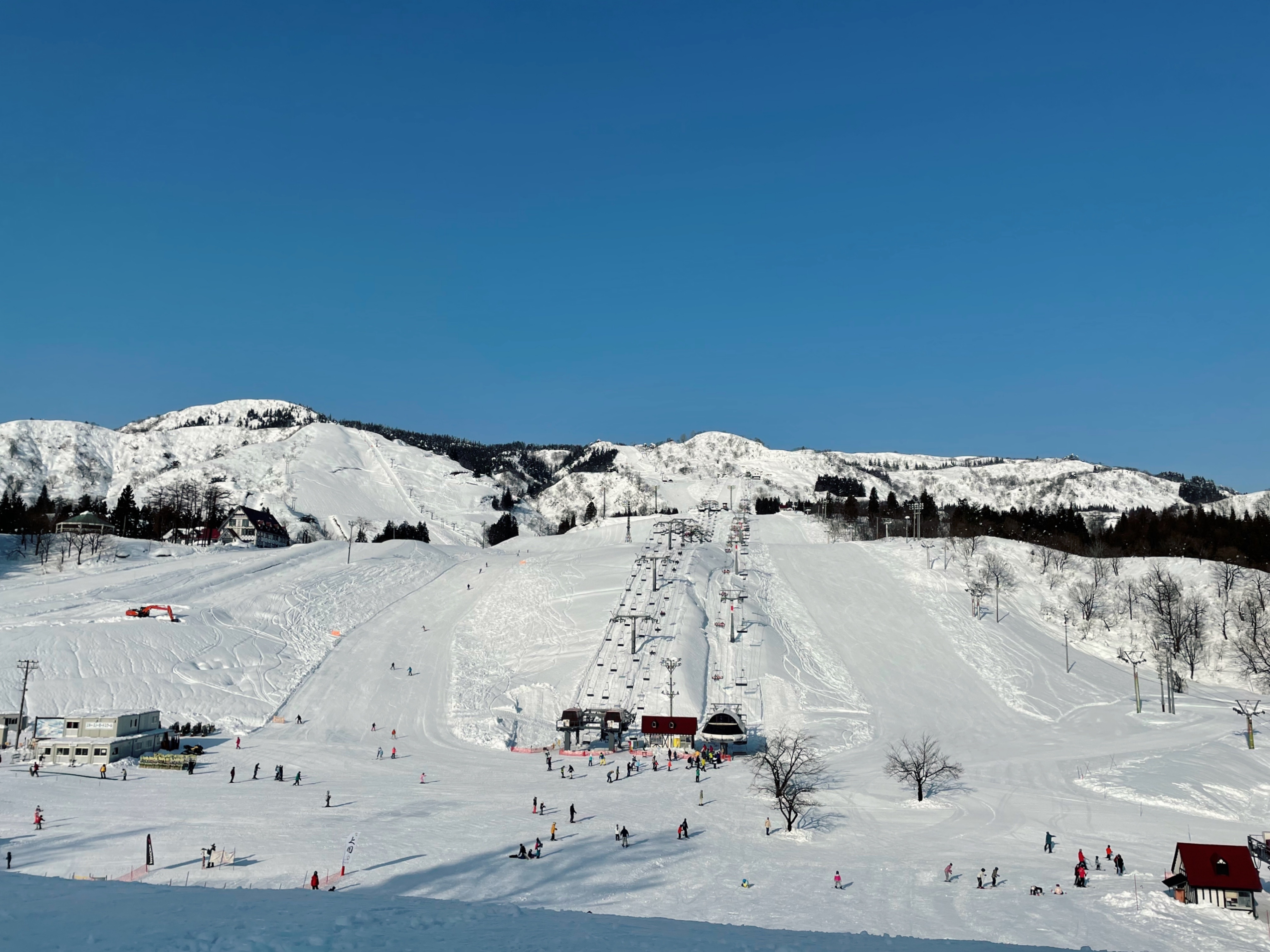 f:id:pandamama-ikuji:20230127082257j:image f:id:pandamama-ikuji:20230127082257j:image