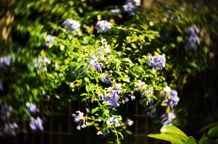 f:id:pandaman1120:20160712142340j:plain f:id:pandaman1120:20160712142340j:plain