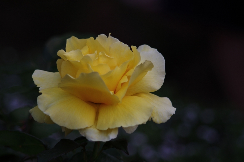 f:id:pandaman1120:20180517162219j:plain f:id:pandaman1120:20180517162219j:plain