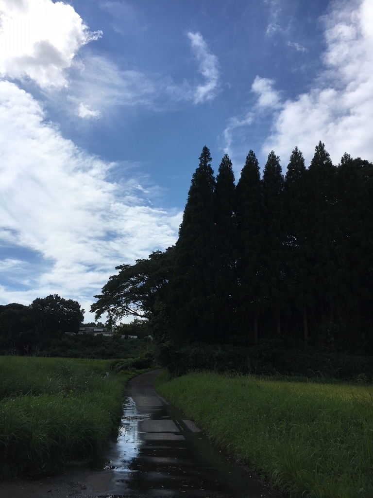 f:id:pandamonda:20180925185900j:plain f:id:pandamonda:20180925185900j:plain
