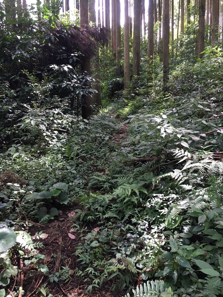 f:id:pandamonda:20180925205930j:plain f:id:pandamonda:20180925205930j:plain