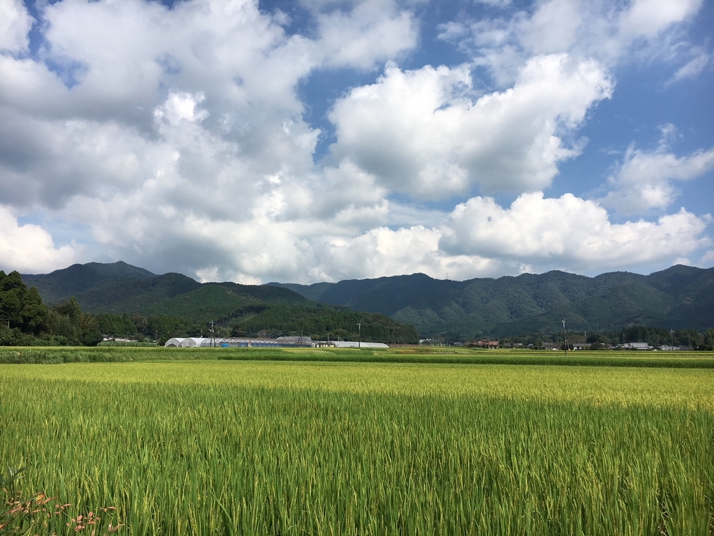 f:id:pandamonda:20180925212553j:plain f:id:pandamonda:20180925212553j:plain
