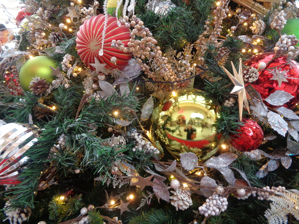クリスマスが今年もやってくる たぬきのぱんやさんにっき