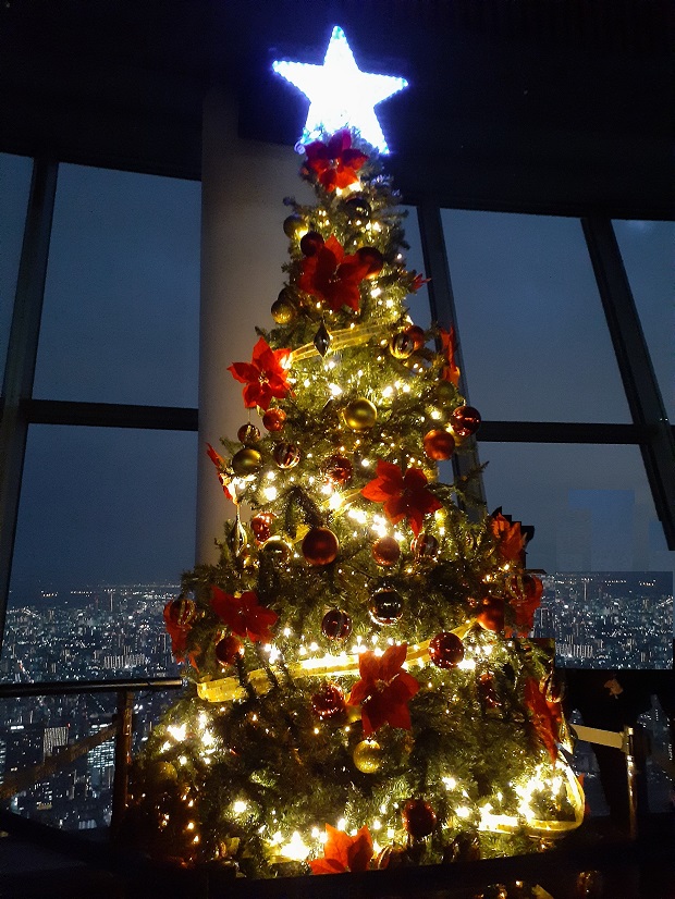 クリスマスが今年もやってくる たぬきのぱんやさんにっき