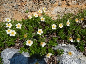 Dscn8166