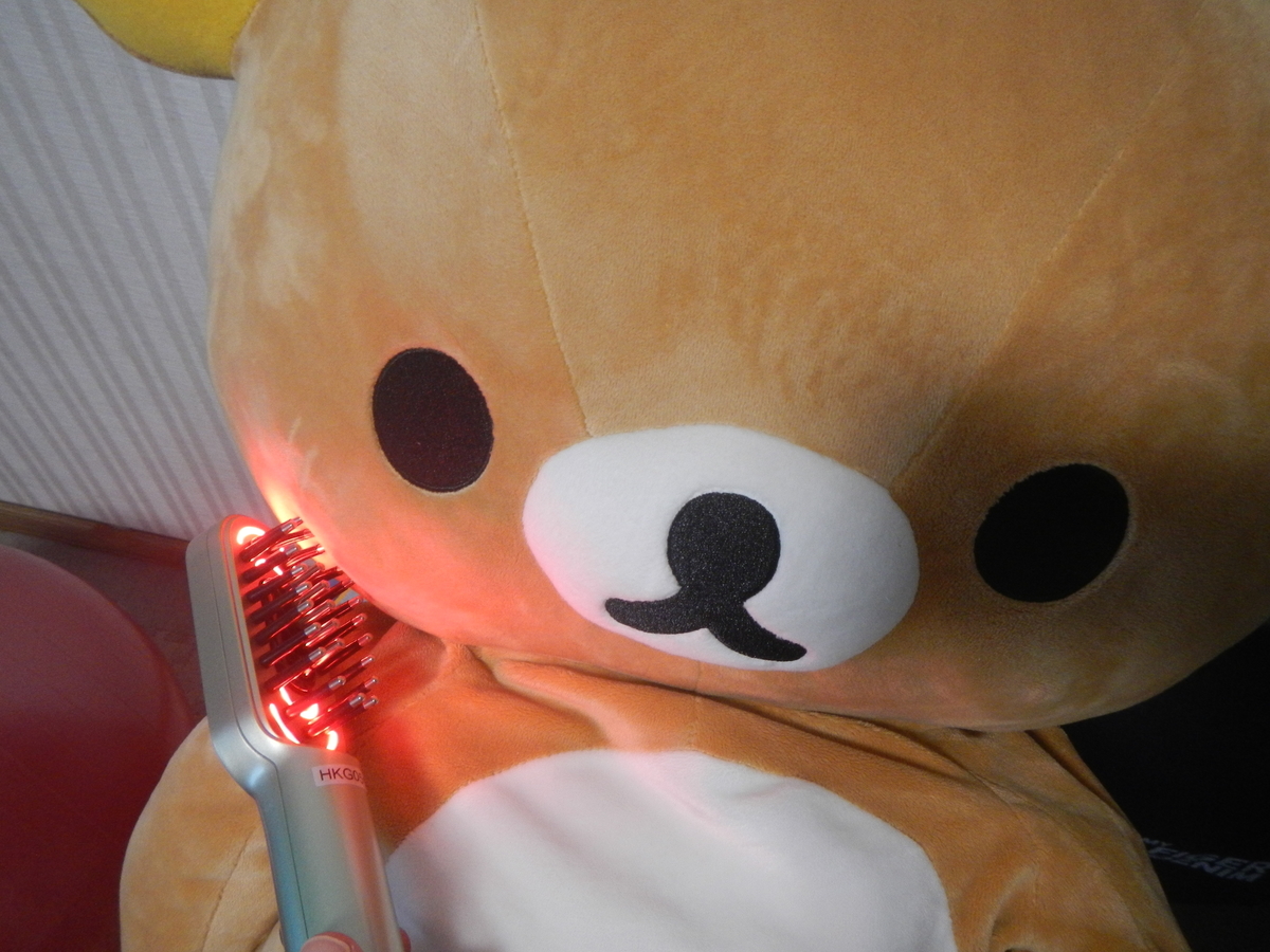 f:id:pandayama:20220129160735j:plain