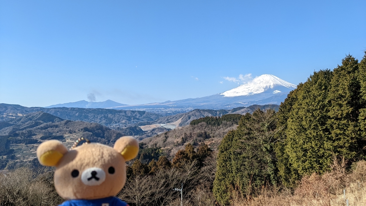 f:id:pandayama:20220203101657j:plain