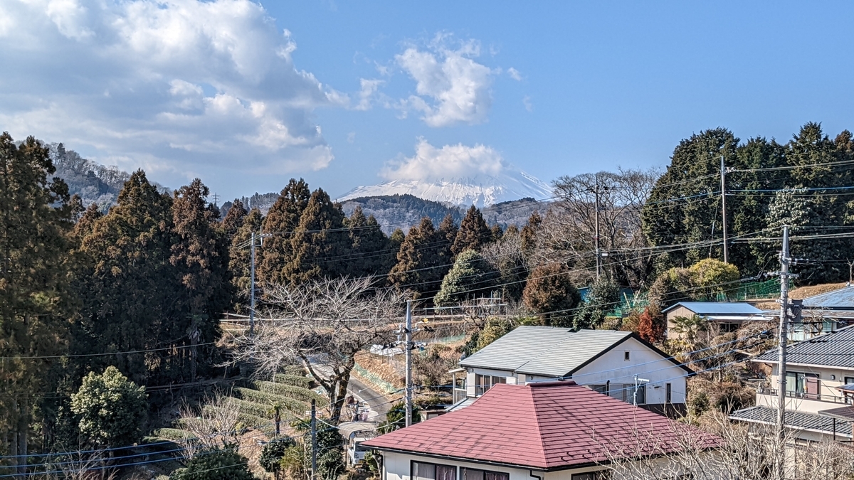 f:id:pandayama:20220203101909j:plain
