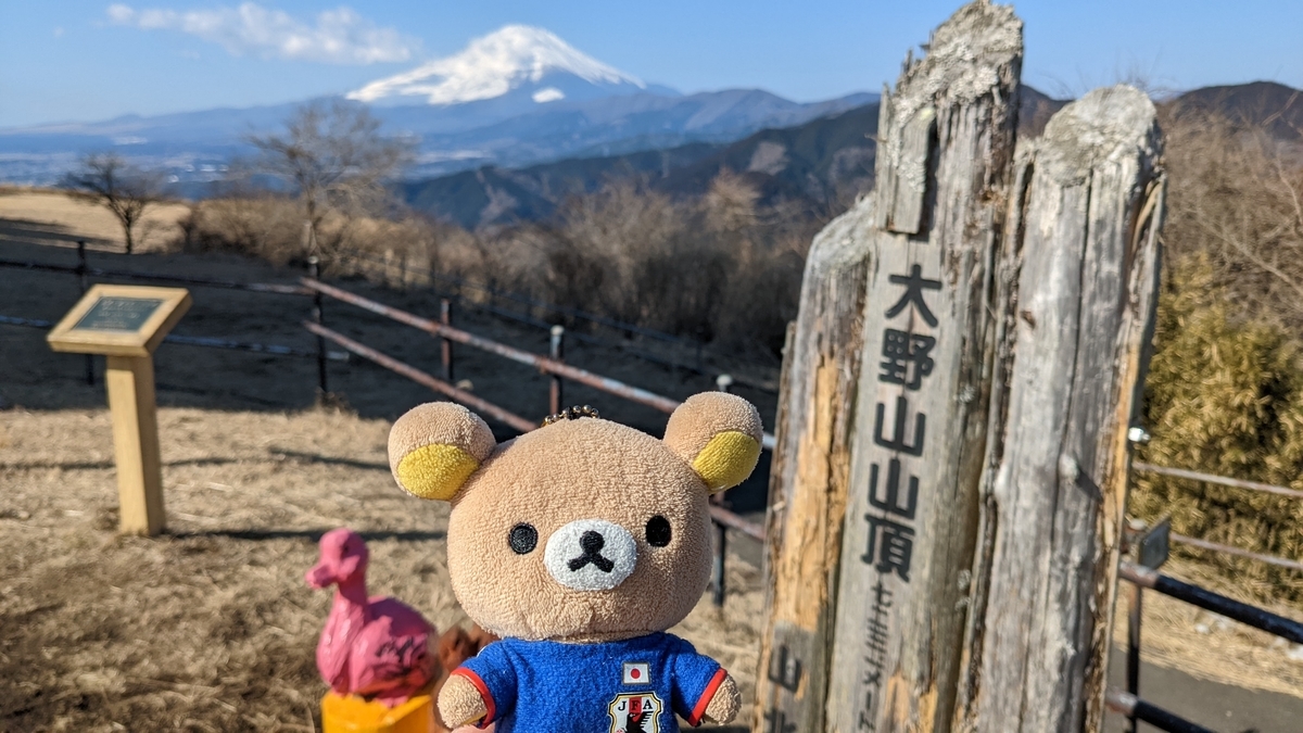 f:id:pandayama:20220203110300j:plain