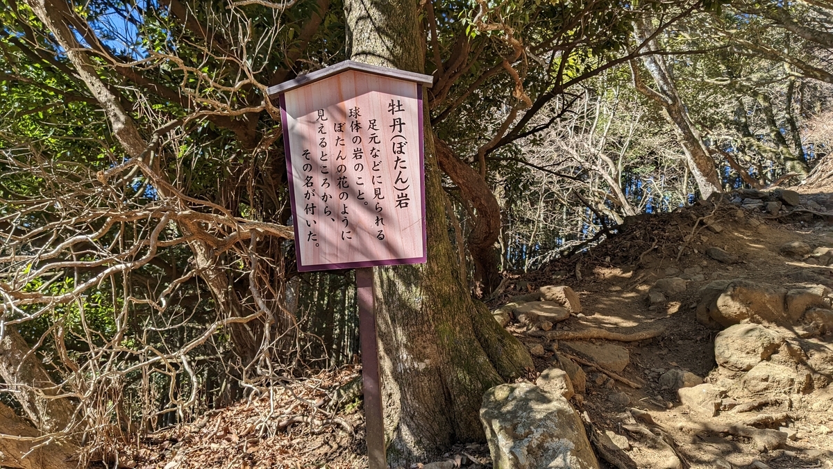 f:id:pandayama:20220208105348j:plain