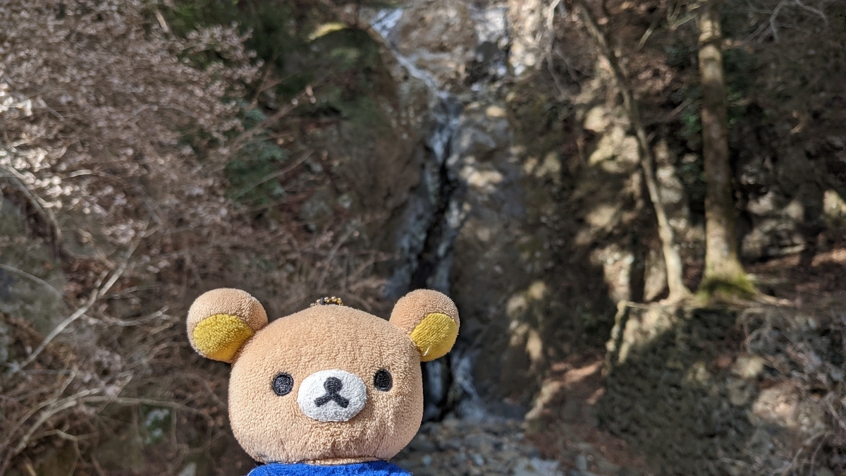 f:id:pandayama:20220208105544j:plain