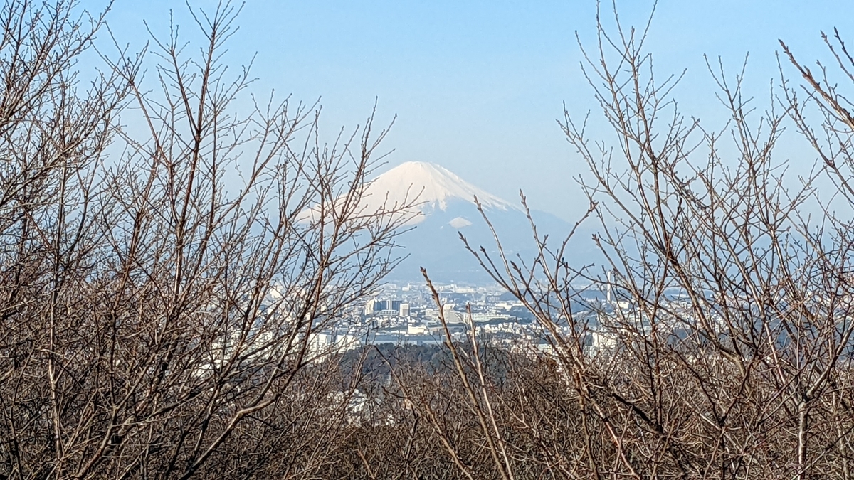 f:id:pandayama:20220213140521j:plain