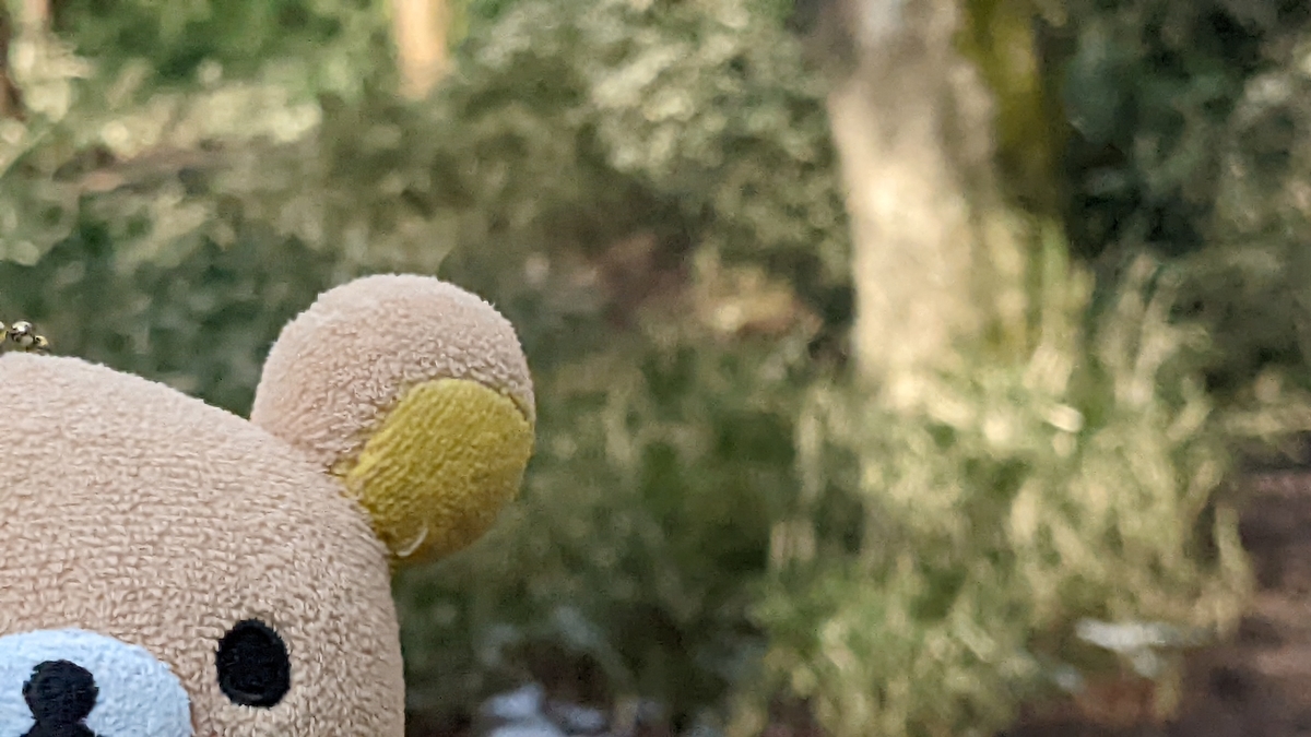 f:id:pandayama:20220213140638j:plain