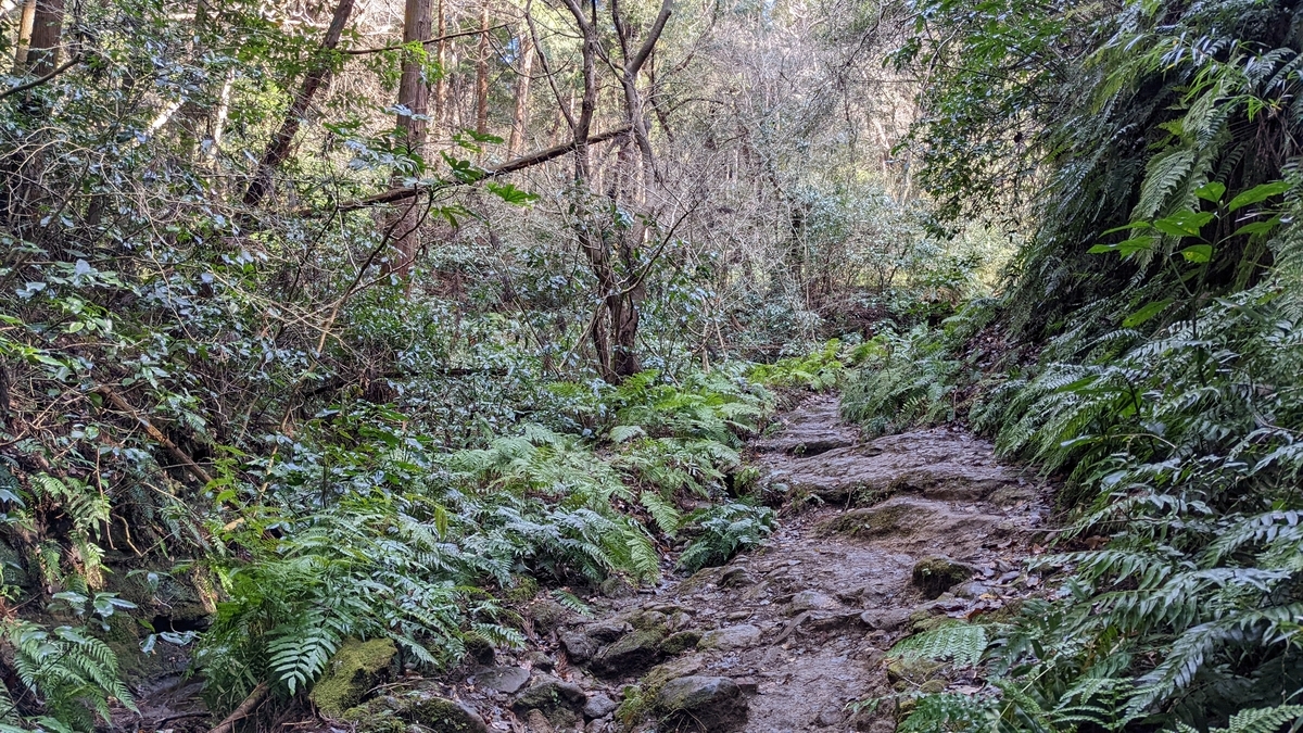 f:id:pandayama:20220213140648j:plain