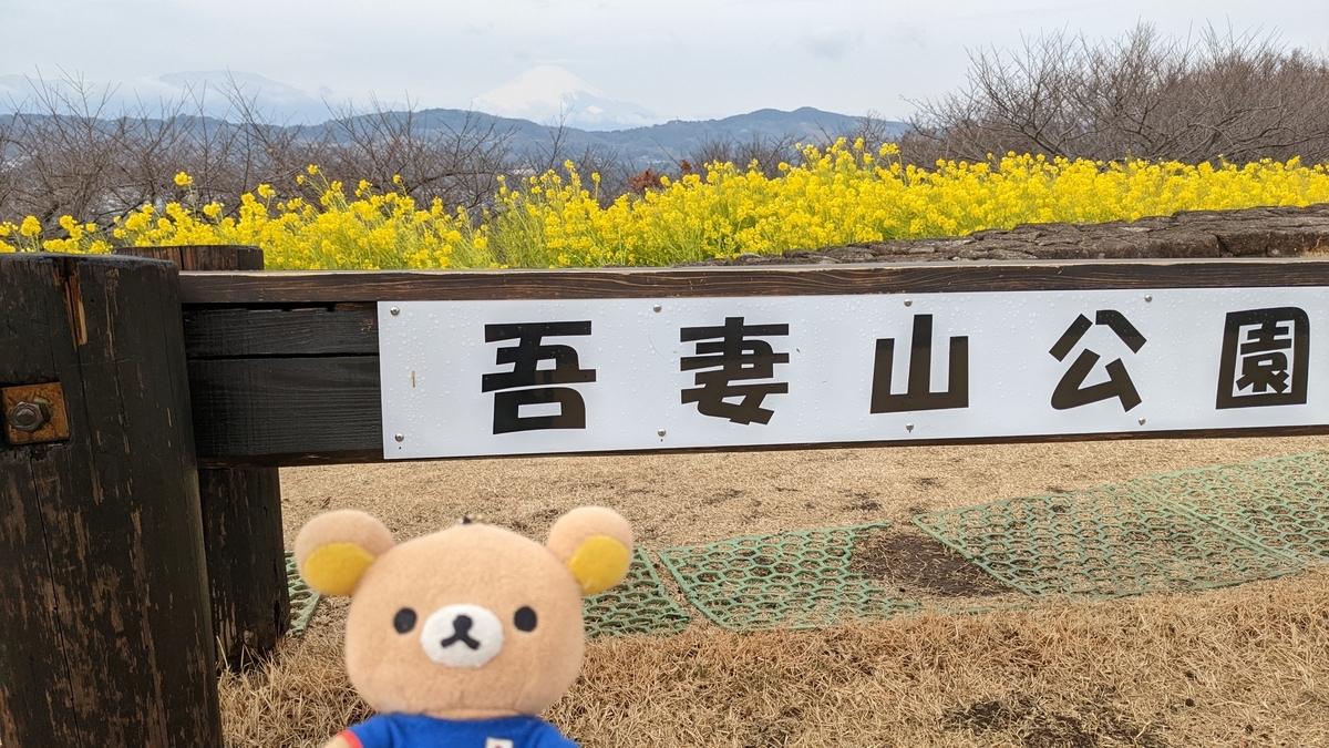 f:id:pandayama:20220214183244j:plain