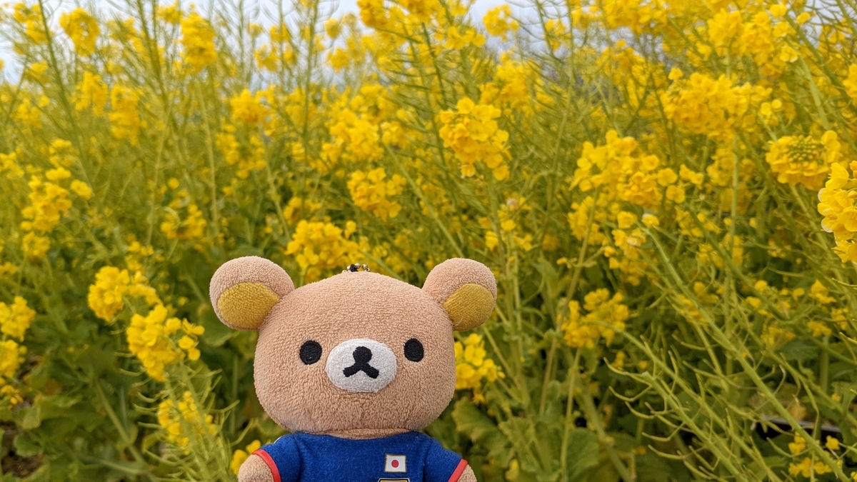 f:id:pandayama:20220214183245j:plain