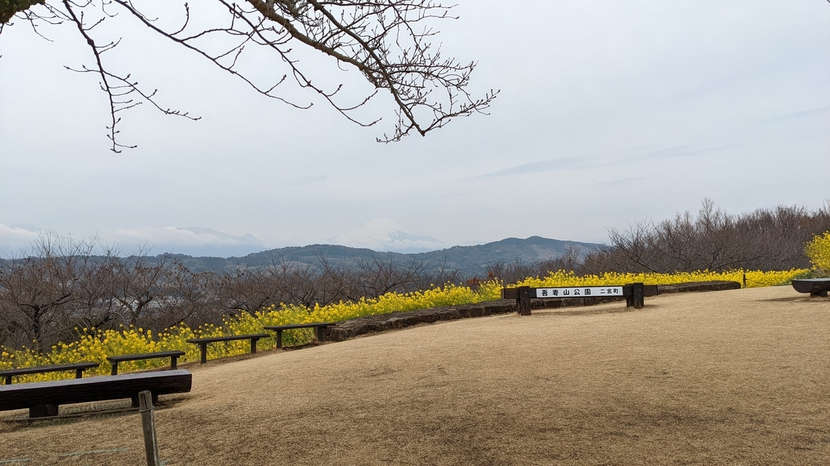 f:id:pandayama:20220214183317j:plain