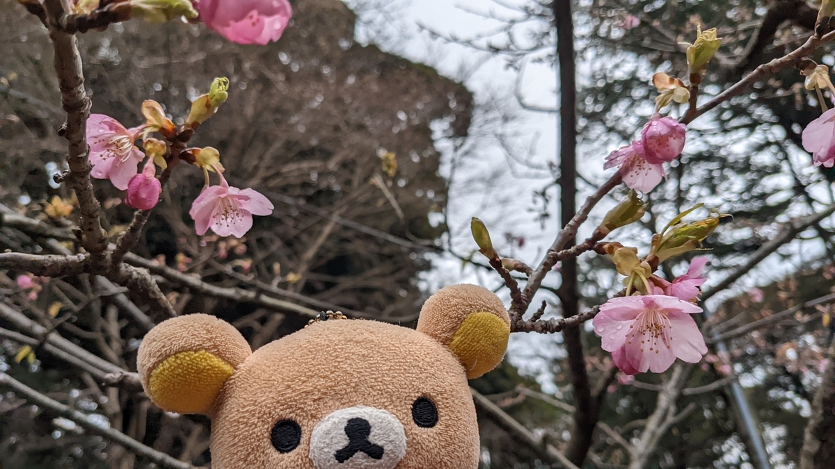 f:id:pandayama:20220214183326j:plain