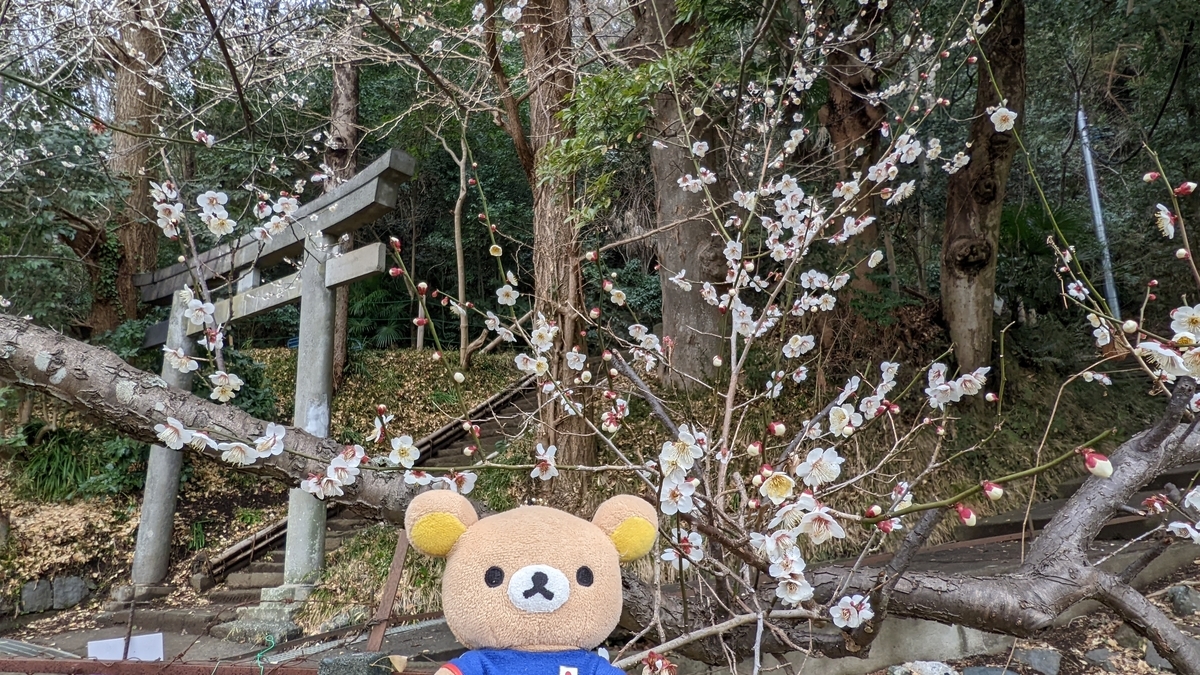 f:id:pandayama:20220214183405j:plain