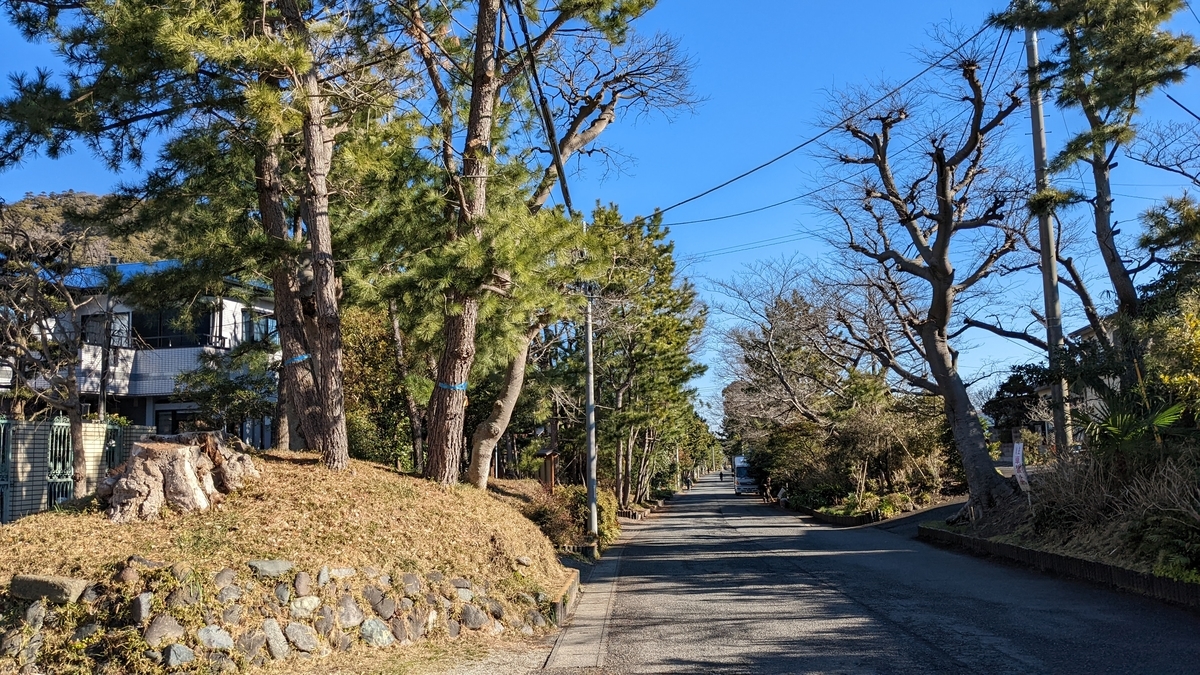 f:id:pandayama:20220224145251j:plain